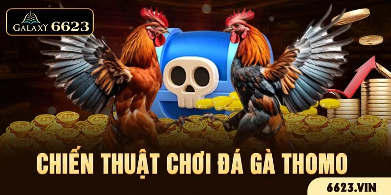 Chiến thuật chơi đá gà thomo 