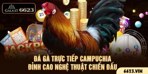 Đá Gà Trực Tiếp Campuchia - Đỉnh Cao Nghệ Thuật Chiến Đấu