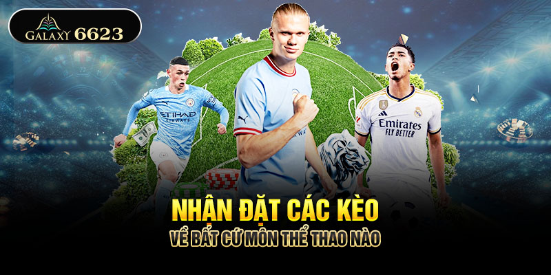 Nhận đặt các kèo về bất cứ môn thể thao nào