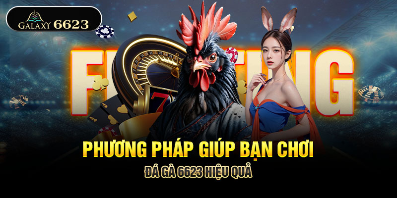 Phương pháp giúp bạn chơi đá gà 6623 hiệu quả