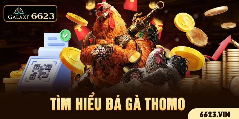 Tìm hiểu đá gà thomo